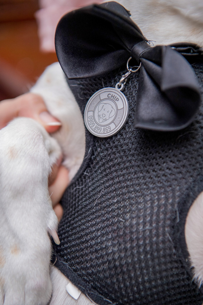 Tấm thẻ Pet Tags được làm từ nhôm nhẹ, khắc laser với tên của thú cưng cùng mã QR Code phía sau cũng là một món đồ trang trí đáng yêu.