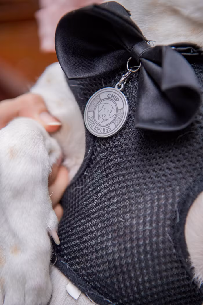 Tấm thẻ Pet Tags được làm từ nhôm nhẹ, khắc laser với tên của thú cưng cùng mã QR Code phía sau cũng là một món đồ trang trí đáng yêu.