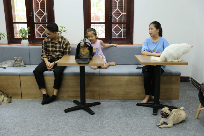 Ứng dụng này giúp chủ nuôi có thể chăm sóc thú cưng toàn diện bằng cách lên lịch và kết nối chăm sóc, y tế.