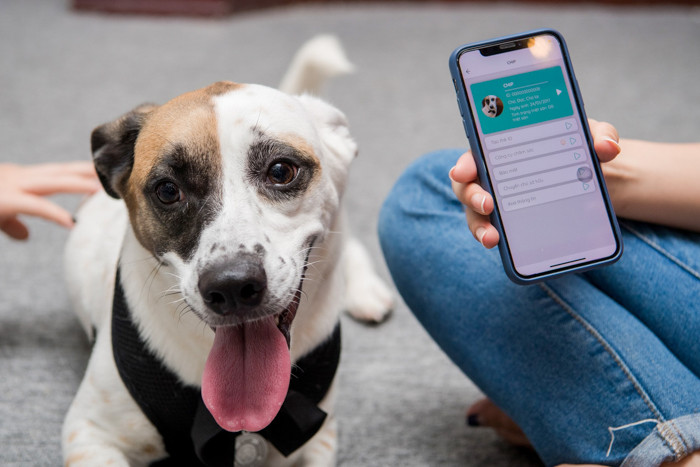 Chỉ cần quét mã QR Code này, toàn bộ thông tin về thú cưng và chủ nuôi sẽ được hiển thị đầy đủ.