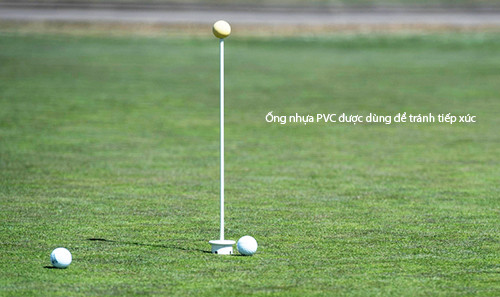 Sang che cach choi golf an toan mua COVID-19