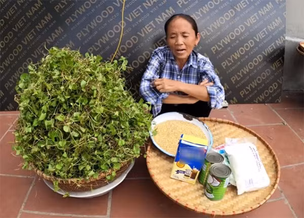 Thực tế, không có một công thức chung nào để đo đếm số tiền một kênh YouTube có thể kiếm được từ YouTube. Cụ thể, ở các quốc gia Âu Mỹ, các nhà sáng tạo nội dung YouTube sẽ nhận được khoảng từ 4 - 8 USD/1.000 lượt xem. Nhưng ở Việt Nam, thường dao động trong khoảng 0.3 - 0.7 USD/1.000 lượt xem, thậm chí thấp hơn.