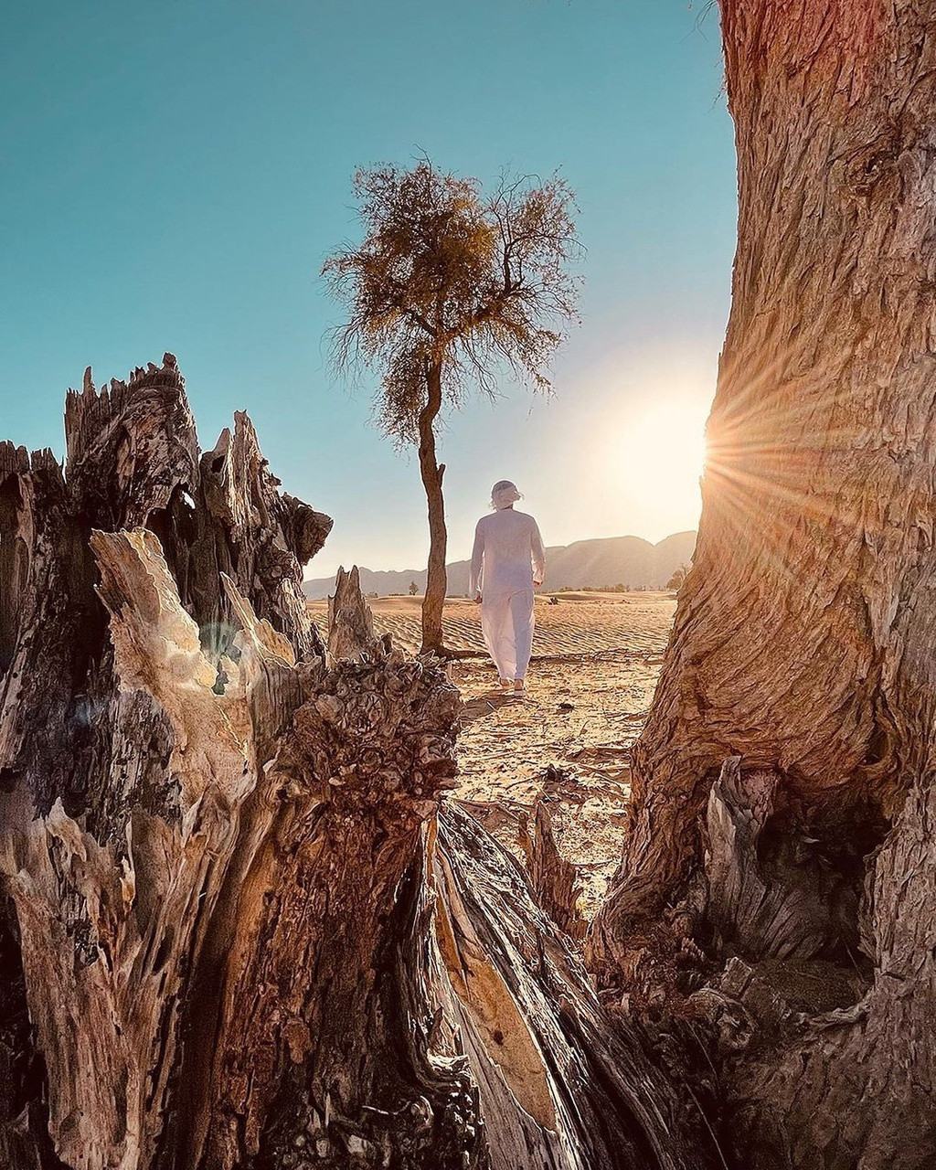 Chế độ Smart HDR mới trên iPhone 12 cho phép tổng hợp dữ liệu từ nhiều bức ảnh chụp ở các mức sáng khác nhau. Công nghệ này mang lại bức ảnh sáng đều, giữ chi tiết ở cả vùng sáng và vùng tối nhưng điều phải trả giá đó là mức độ xử lý hơi nặng của iPhone 12 khiến vùng tối bị noise và gai khá nhiều. Vì thế, ảnh HDR từ iPhone 12 ở mức chấp nhận được.