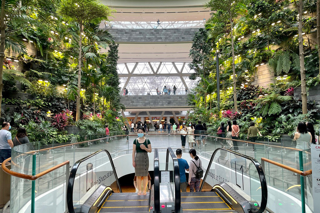 Khi chụp tự động trong điều kiện ánh sáng bình thường, iPhone 12 Pro cho ra ảnh với độ cân bằng sáng khá tốt. Điều này có được là nhờ Apple đã nâng cấp thuật toán Deep Fusion có từ iPhone 11. Máy sử dụng AI để phân tích khung cảnh và làm tăng độ nét, chi tiết. Tuy nhiên, sự khác biệt so với iPhone 11 là không quá nhiều, khó nhận biết khi nhìn thoáng qua.