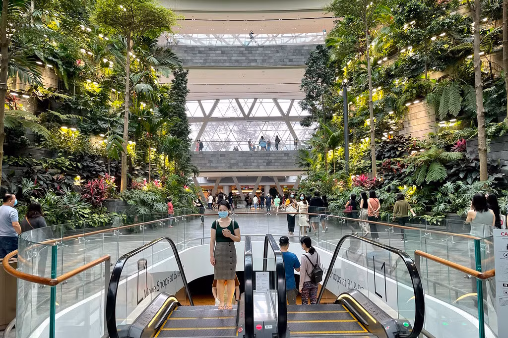 Khi chụp tự động trong điều kiện ánh sáng bình thường, iPhone 12 Pro cho ra ảnh với độ cân bằng sáng khá tốt. Điều này có được là nhờ Apple đã nâng cấp thuật toán Deep Fusion có từ iPhone 11. Máy sử dụng AI để phân tích khung cảnh và làm tăng độ nét, chi tiết. Tuy nhiên, sự khác biệt so với iPhone 11 là không quá nhiều, khó nhận biết khi nhìn thoáng qua.