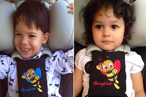 Bee-Safe Child là hệ thống cảnh báo trên xe ô tô có giá rẻ (29,99 USD trên Amazon) cảnh báo tài xế về khả năng trẻ nhỏ bị bỏ quên ở ghế sau chiếc xe. Loại thiết bị này hữu hiệu đối với những tài xế không có điện thoại thông minh.