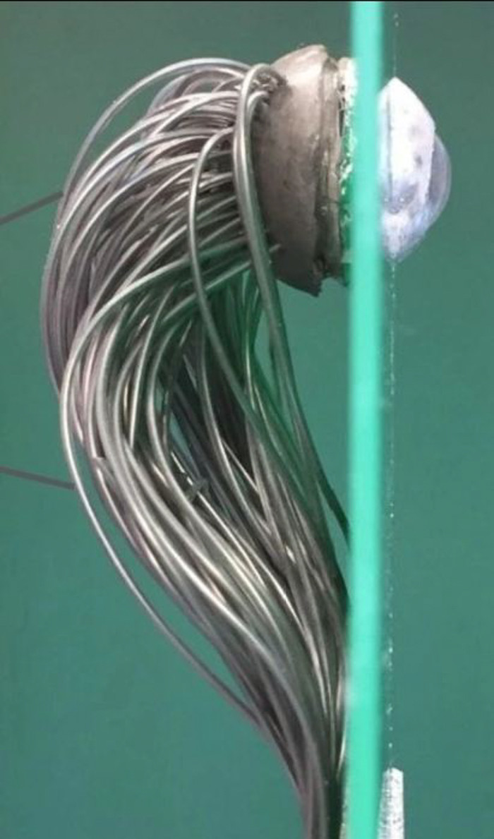 Được đánh giá là nhạy hơn cả mắt thường, thiết bị này bắt chước cấu trúc của mắt người và sắp tới sẽ tiến hành cấy ghép trên những bệnh nhân bị mù như một bộ phận giả.