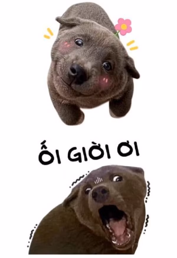 Bộ sticker mang tên "Bé Dúi" ngập tràn những hình ảnh với biểu cảm khó đỡ cùng những câu quotes rất hài được ghép hình cùng chú cún này.