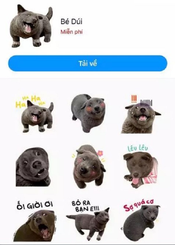 Ngay lập tức bộ sticker của idol Nguyễn Văn Dúi được người dùng thích thú tìm kiếm và tải xuống sử dụng. Nhiều người còn mong muốn hình ảnh idol của giới trẻ sẽ sớm xuất hiện trên bộ sưu tập nhãn dán của Facebook.