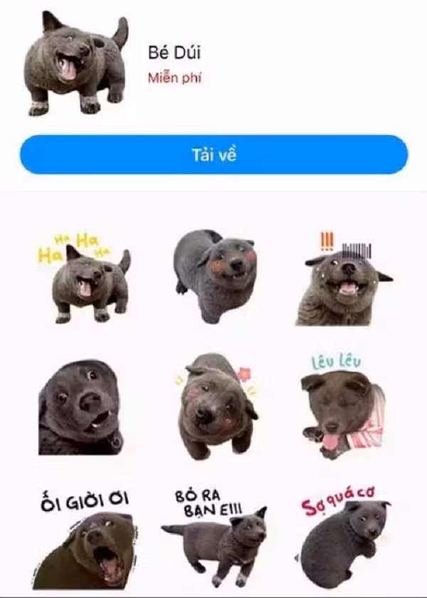 Ngay lập tức bộ sticker của idol Nguyễn Văn Dúi được người dùng thích thú tìm kiếm và tải xuống sử dụng. Nhiều người còn mong muốn hình ảnh idol của giới trẻ sẽ sớm xuất hiện trên bộ sưu tập nhãn dán của Facebook.