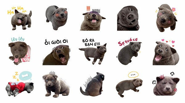 Mới đây, fan thích thú khi phát hiện hình ảnh của "Dúi idol" còn được sử dụng làm bộ sticker trên ứng dụng Zalo.