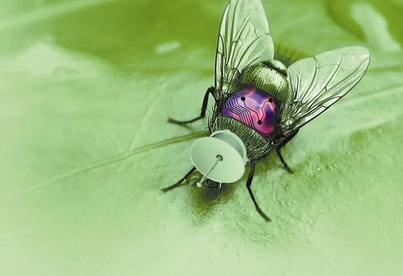 Côn trùng lai ghép MEMS là đội quân cyborg côn trùng (nửa robot, nửa côn trùng) nhằm điều khiển chúng hỗ trợ công tác cứu hộ hoặc thực hiện hoạt động giám sát tại các địa điểm nguy hiểm. Côn trùng cyborg về cơ bản có thể thay đổi truyền thống của thể loại tiểu thuyết gián điệp: giờ đây, thông tin tình báo có thể được thu thập bằng côn trùng được trang bị hệ thống vi cơ. Thiết bị này sẽ được đưa vào một sinh vật sống trong giai đoạn phát triển ban đầu (khi côn trùng ở trong kén hoặc nhộng), sau đó, được thả ra và các thông tin sẽ được truyền tải về trung tâm.