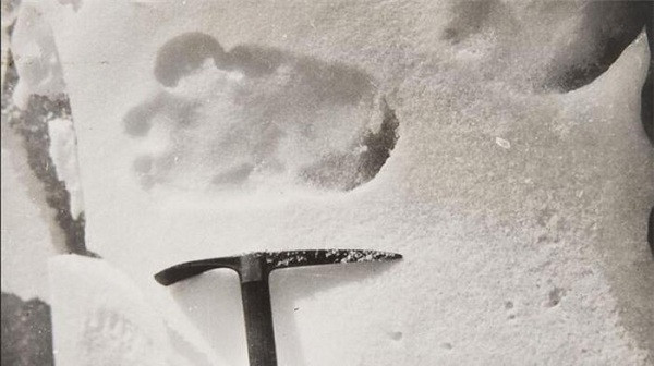 Nhà thám hiểm người Anh Eric Earle Shipton đã chụp bức ảnh được cho là dấu chân thuộc về một con Yeti (người tuyết) khi leo núi Himalaya vào năm 1951. Sau đó vào năm 2014, nhà đấu giá Christie từ ở London, Anh đã tận dụng sự quan tâm về Bigfoot trên toàn thế giới và bán bức ảnh gốc với giá gần 5.000 USD (120 triệu VND).