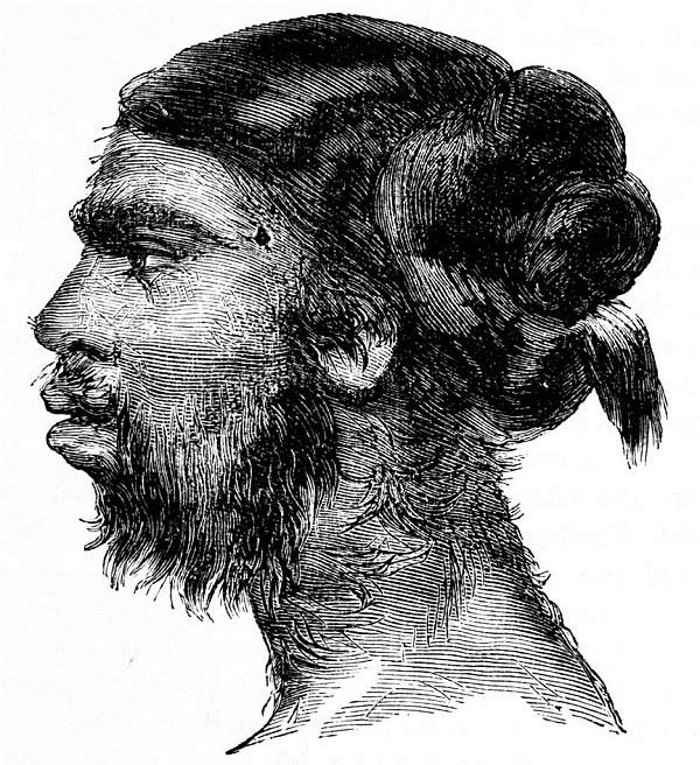 Kể từ đó, bằng vẻ ngoài quái dị cùng giọng hát tuyệt vời của mình, Julia đã gây được tiếng vang lớn. Ở độ tuổi 20, bà đã được người quản lý của mình là ông Theodore Lent - một ông bầu rạp xiếc người Hoa Kỳ, đưa đi lưu diễn khắp nước Mỹ.