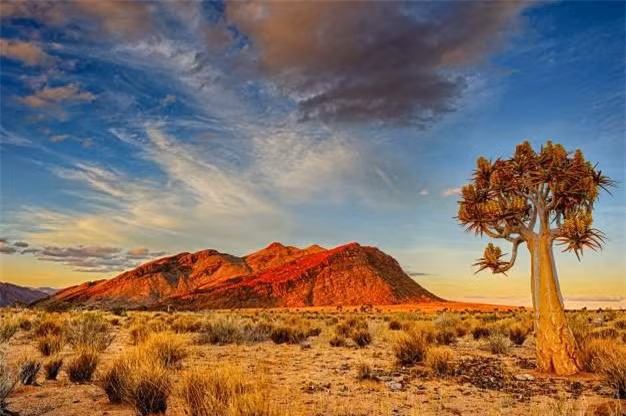 Sa mạc Kalahari ở Nam Phi là một trong những sa mạc điển hình nhất. Nó được đặt tên theo từ "kgala" trong ngôn ngữ Tswana có nghĩa là "khát khô". Lượng mưa trung bình của vùng sa mạc này là khoảng 127-254mm mỗi năm, nhưng con số này không thấm vào đâu so với cái khô, nóng của sa mạc.
