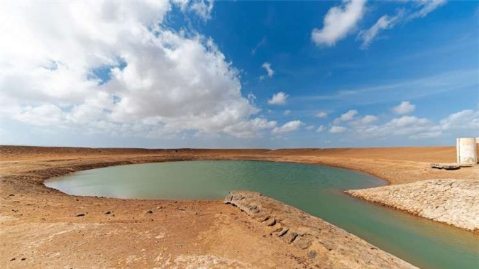 Sa mạc Grand Bara ở Djibouti, được tạo nên bởi những lòng hồ khô cạn, những đụn cát thấp và các loại cây bụi hay các loại cỏ sa mạc. Nơi đây là nhà của các loại động vật có vú như linh dương Beira, linh dương Dorca và linh dương gerenuk.
