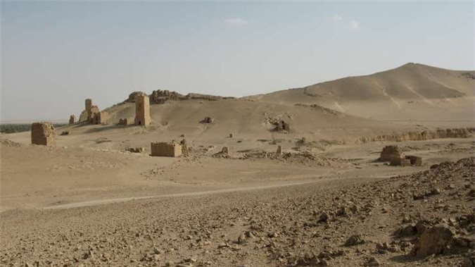 Sa mạc Syria, trải rộng ở Syria, Jordan, Saudi Arabia. Đây là sa mạc kết hợp giữa những đồng cỏ bằng phẳng và sa mạc thực sự. Những đồng cỏ được phủ xanh, trong khi phần sa mạc lại thực sự là những vùng cát khô cằn. Cảnh quan của nó còn là những dòng dung nham và các mỏ phosphate, dầu mỏ và khí butane được phát hiện ở đây.