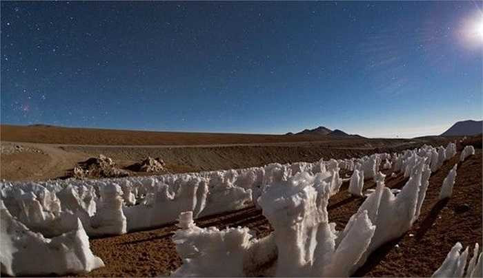 Sa mạc Atacama trên lãnh thổ Chile nổi tiếng về sự khắc nghiệt, được cho là nơi khô cằn nhất trên trái đất. Thậm chí, xương rồng cũng không thể mọc được trên sa mạc này. Không khí khô đến mức những vật dụng bằng kim loại không bị oxy hoá, và những miếng thịt không cần đến một biện pháp ướp xác nào vẫn có thể giữ nguyên cho tới bất tận. Không có hơi nước, không có gì có thể bị mục rữa.
