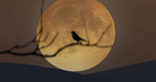 Một số hình ảnh siêu trăng đẹp trên thế giới.