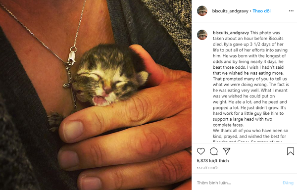 Tuy nhiên, ngày 24/5 chủ nhân của Biscuit and Gravy đã đăng hình ảnh của chú mèo nhỏ kèm thông báo nó đã không qua khỏi mặc dù được chăm sóc 24/24. Con mèo hai khuôn mặt đã vượt qua gần 4 ngày khó khăn đầy nghị lực, chỉ để kéo dài thời gian sống sót bên mèo mẹ, các anh chị em và chủ nhân.
