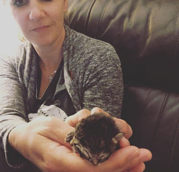 Chủ của chú mèo cũng cảm ơn cộng đồng mạng đã cầu nguyện và gửi đến Biscuit and Gravy những lời chúc tuyệt vời nhất.