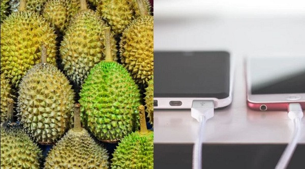 Phat hien moi: Sau rieng co the giup sac dien thoai voi toc do cuc nhanh-Hinh-2