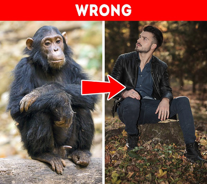 Quan niệm con người tiến hóa từ vượn là một quan niệm sai lầm phổ biến về sự tiến hóa. Darwin, người tạo ra thuật tiến hóa chưa từng tuyên bố rằng chúng ta đã tiến hóa từ loài vượn hiện đại. Thay vào đó, ông lập luận rằng do sự tương đồng lớn mà chúng ta cùng với khỉ và vượn, tất cả phải có một tổ tiên chung sống cách đây hàng triệu năm.