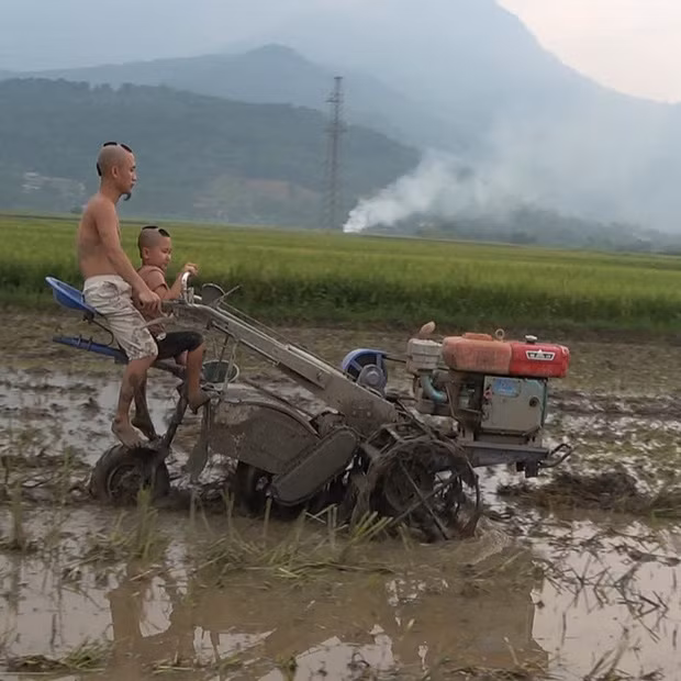 Tam Mao TV có 2 thành viên là Mao huynh và Mao đệ. Trong khi Mao đệ đã 20 tuổi nhưng vẫn sở hữu ngoại hình như trẻ con, chỉ biết quanh quẩn chăn bò ở quê thì Mao huynh là sinh viên tốt nghiệp đại học nhưng thất nghiệp. Cả hai đã cùng hợp sức làm YouTube từ năm 2015 và có được thành công ngoài mong đợi.