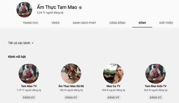Anh em Tam Mao sở hữu 5 kênh là "Ẩm thực Tam Mao" (3,42 triệu subs), "Tam Mao TV" (1,79 triệu subs) và 3 kênh nhỏ khác. Tổng view trên các video của kênh Ẩm thực Tam Mao đạt hơn 1 tỷ lượt xem. Theo Socialable, Ẩm thực Tam Mao có thể đạt doanh thu từ 15.000 - 240.000 USD/tháng (khoảng 350 triệu - 5,6 tỷ đồng).