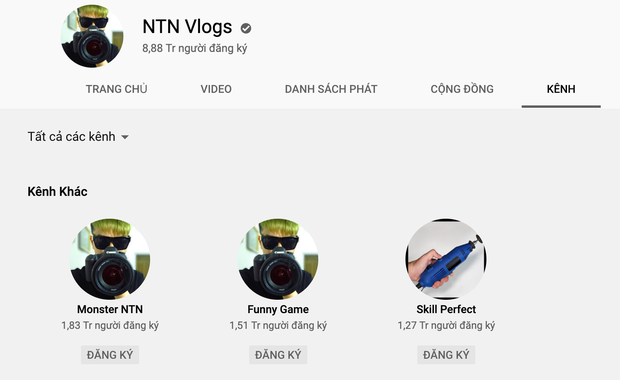 Hiện tại, NTN sở hữu 4 kênh YouTube là "NTN Vlogs" (8,8 triệu subs), "Funny Game" (1,51 triệu subs), "Skill Perfect" (1,72 triệu subs). Riêng kênh NTN Vlogs đã có hơn 1,9 tỷ lượt xem - một con số rất khủng. Theo một số thống kê, ước tính NTN có thể thu về khoảng từ hơn 71.000 USD - 1,1 triệu USD/năm (khoảng 1,7 tỷ đồng - 26 tỷ đồng).