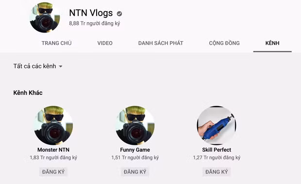Hiện tại, NTN sở hữu 4 kênh YouTube là "NTN Vlogs" (8,8 triệu subs), "Funny Game" (1,51 triệu subs), "Skill Perfect" (1,72 triệu subs). Riêng kênh NTN Vlogs đã có hơn 1,9 tỷ lượt xem - một con số rất khủng. Theo một số thống kê, ước tính NTN có thể thu về khoảng từ hơn 71.000 USD - 1,1 triệu USD/năm (khoảng 1,7 tỷ đồng - 26 tỷ đồng).
