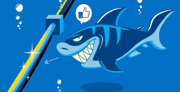 Một số người cho rằng dòng điện áp cao chạy qua đường dây cáp quang thu hút cá mập, kích thích cảm giác thèm ăn ở chúng. Trong khi đó cá mập là một loài săn mồi có khả năng cảm nhận được từ trường để bắt con mồi.