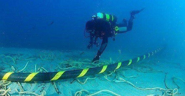 Tuy nhiên, tỷ lệ cáp quang biển bị đứt do cá mập cắn là khá thấp. Thực tế có đến 70% số vụ đứt cáp quang biển là do các hoạt động tàu thuyền vô tính móc và kéo đứt cáp quang, hoặc đánh cắp cáp quang biển để chuộc lợi cho bản thân.