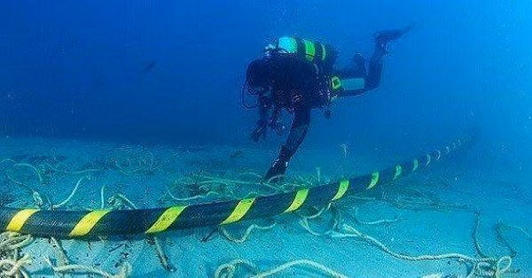 Tuy nhiên, tỷ lệ cáp quang biển bị đứt do cá mập cắn là khá thấp. Thực tế có đến 70% số vụ đứt cáp quang biển là do các hoạt động tàu thuyền vô tính móc và kéo đứt cáp quang, hoặc đánh cắp cáp quang biển để chuộc lợi cho bản thân.