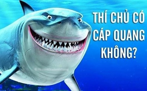 “Nếu bạn đưa một miếng nhựa có hình ống ra phía trước một con cá mập. Chắc chắn nó sẽ muốn ngoạm lấy miếng nhựa đó không phải vì nó nghĩ có thể ăn được”. Giáo sư giải thích, đây là hành động tự nhiên có thể thấy ở nhiều loài động vật như chó, mèo.