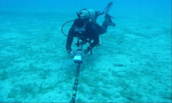 Dù không cắn đứt, nhưng vết răng của của chúng có thể tạo ra các lỗ thủng, khiến nước biển tràn vào, làm ảnh tới khả năng truyền tải dữ liệu.