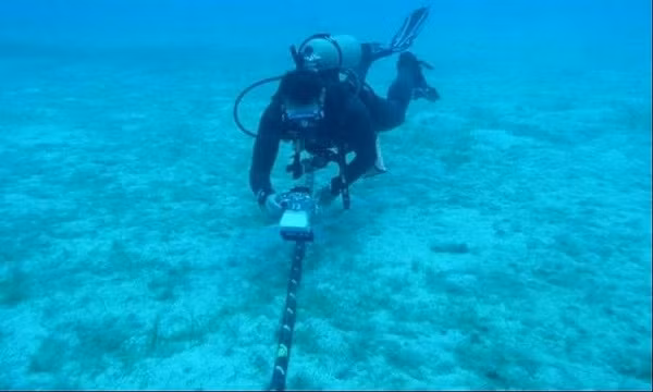 Dù không cắn đứt, nhưng vết răng của của chúng có thể tạo ra các lỗ thủng, khiến nước biển tràn vào, làm ảnh tới khả năng truyền tải dữ liệu.