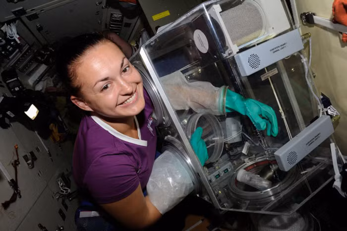 Trên thực tế, các phi hành gia không hề rảnh rang. Mọi yếu tố trong ngày làm việc của họ, từ các thí nghiệm đến tắm, ngủ... đều được lên kế hoạch bởi hàng chục người ở trên mặt đất.