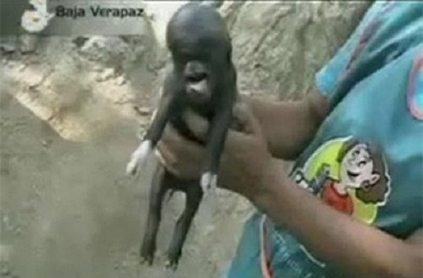 Kỳ dị heo mang hình thù giống người khiến người dân tại Guatemala cảm thấy kinh hãi.