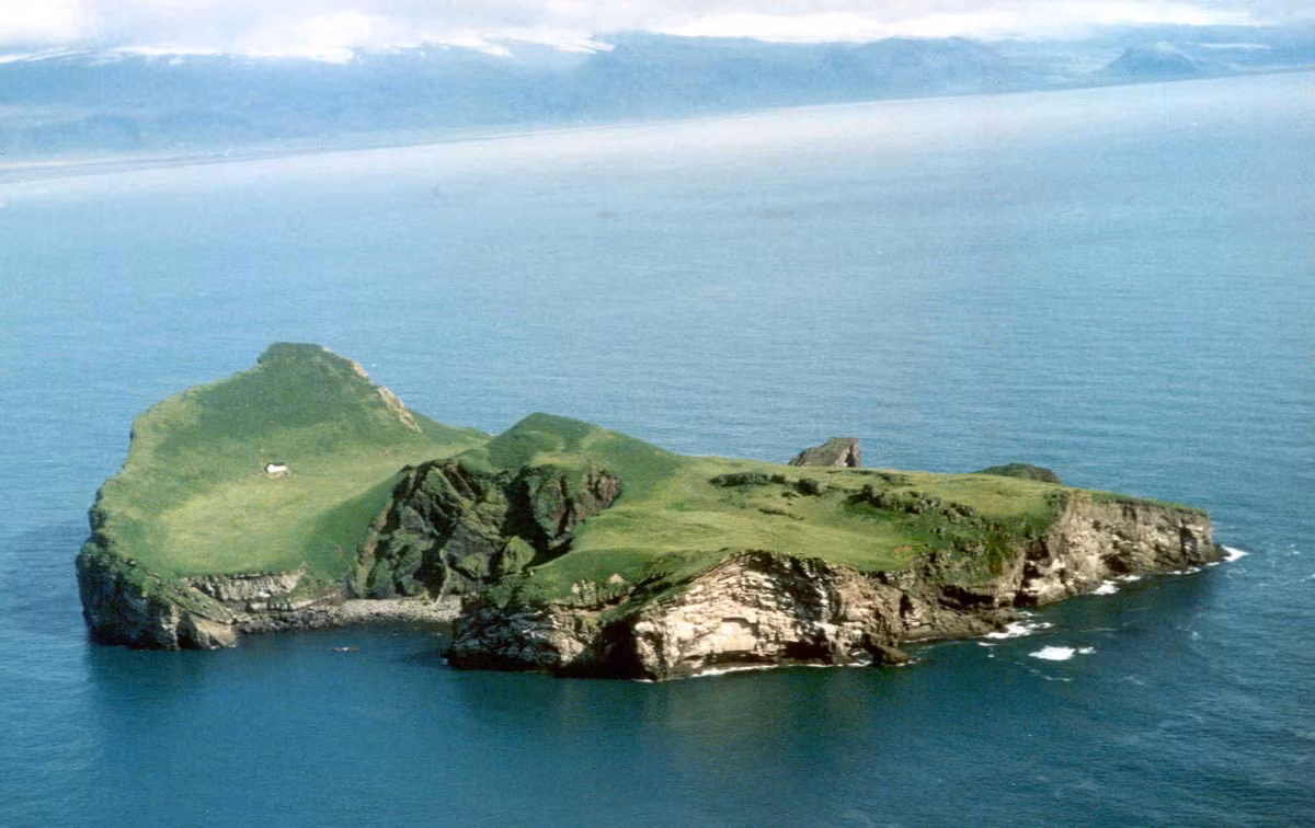 Để giúp các chuyến đi săn dễ dàng hơn, người ta chỉ dựng lên 1 ngôi nhà màu trắng. Nhìn nó có vẻ yên bình nhưng kì thực luôn thiếu điện, nước... chỉ là một mái che để thỏa mãn các nhu cầu trú nạn cơ bản của con người.