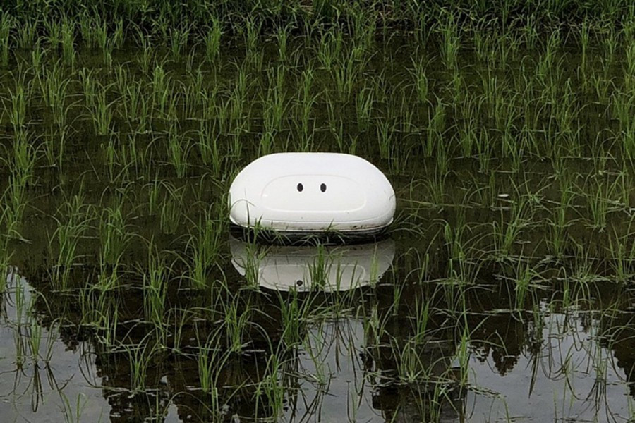 Vịt là loại gia cầm có tác dụng diệt trừ sâu bệnh trên đồng ruộng. Dựa trên đặc tính của loài gia cầm này, vào năm 2019, kỹ sư Tetsuma Nakamura tại nhà máy sản xuất ôtô Nissan (Nhật Bản) đã phát triển thành công chú vịt robot mang tên Aigamo, đặt theo giống vịt địa phương