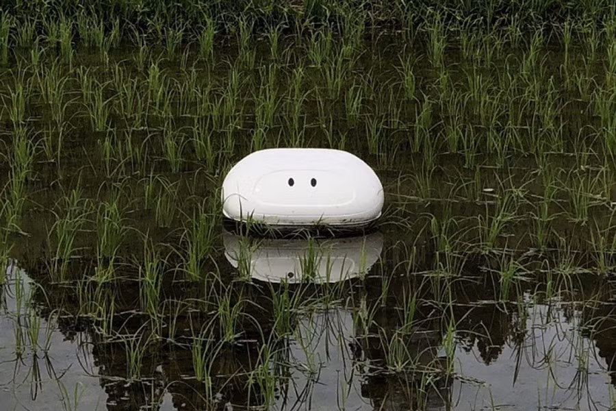 Vịt là loại gia cầm có tác dụng diệt trừ sâu bệnh trên đồng ruộng. Dựa trên đặc tính của loài gia cầm này, vào năm 2019, kỹ sư Tetsuma Nakamura tại nhà máy sản xuất ôtô Nissan (Nhật Bản) đã phát triển thành công chú vịt robot mang tên Aigamo, đặt theo giống vịt địa phương