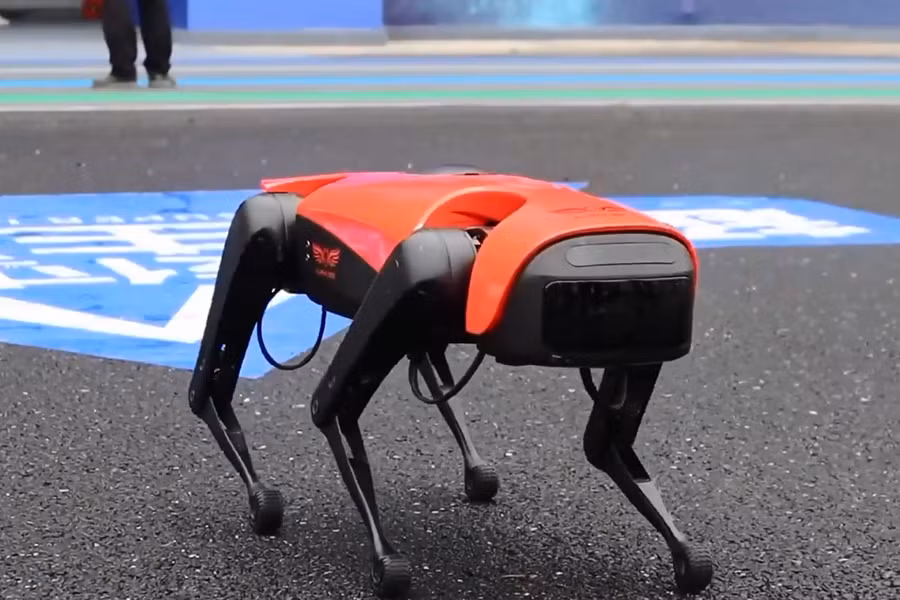 Chú chó robot này được tích hợp các công nghệ như AI, Internet vạn vật (Iot), cộng nghệ 5G và lái xe tự động. Với tính năng ưu việt như vậy, chó robot có khả năng đi tuần tra, giúp bảo vệ người và tài sản, giao hàng và dẫn đường cho người khiếm thị.