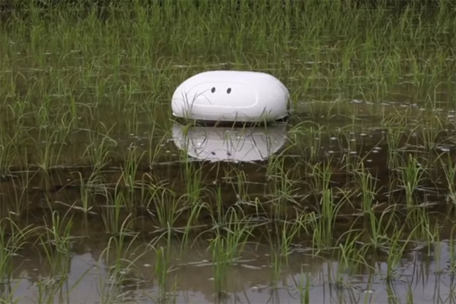 Chú vịt robot ra đời sẽ góp phần duy trì nền nông nghiệp sạch mà không cần phải dùng hóa chất. Tuy nhiên, Aigamo vẫn trong quá trình cải tiến để đáp ứng kỳ vọng có thể còn giúp diệt trừ sâu bọ như loài vịt chứ không dừng lại ở việc diệt cỏ dại.