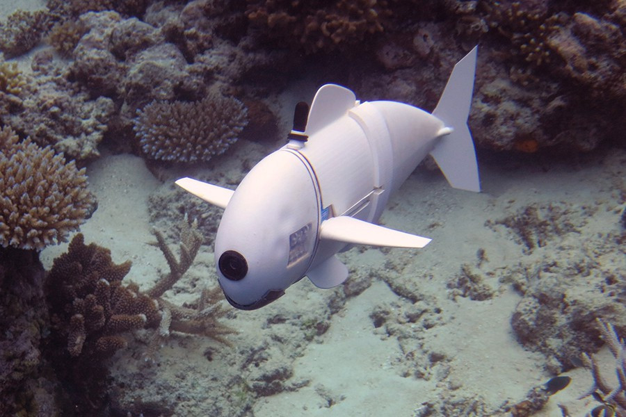 Với chú robot cá này, các nhà sinh vật học sẽ dễ dàng thu thập dữ liệu và quan sát về đời sống trong đại dương và những tác động của biến đổi khí hậu.