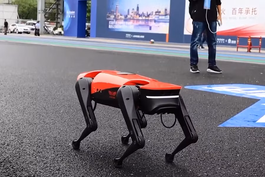 Mới đây, trong hội nghị Fintech (hội nghị về kinh tế kỹ thuật số toàn cầu, công nghệ sáng tạo và tài chính kỹ thuật số) diễn ra tại Thượng Hải (Trung Quốc), công ty Weilan đã cho ra mắt phiên bản mới của chó robot AlphaDog.