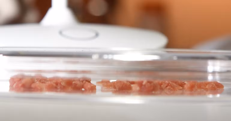 Shiok cho biết hiện 1 kg thịt tôm nuôi trong phòng thí nghiệm có giá 5.000 USD, do đó, một bữa dimsum nhân thịt lợn và tôm hấp có thể lên tới 300 USD nếu sử dụng thịt tôm của Shiok. So với tôm hùm, thịt tôm nhân tạo này đã đắt hơn cả 100 lần.