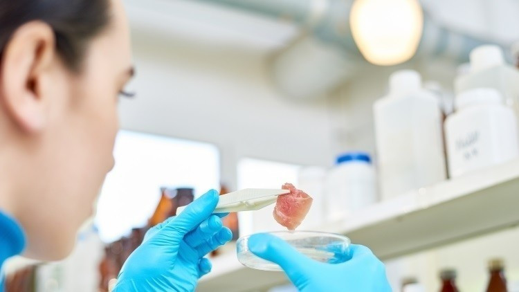 Tôm "nuôi" trong phòng thí nghiệm được xem là một sản phẩm thịt sạch bởi bản chất của nó là thịt từ tế bào ngoài động vật. Nếu thành công, Shiok Meats sẽ trở thành doanh nghiệp đầu tiên trên thế giới đưa tôm "nuôi" trong phòng thí nghiệm vào bữa ăn các gia đình.