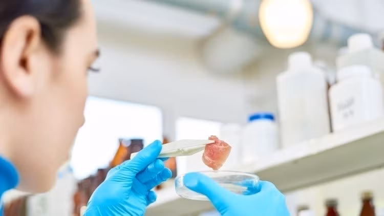 Tôm "nuôi" trong phòng thí nghiệm được xem là một sản phẩm thịt sạch bởi bản chất của nó là thịt từ tế bào ngoài động vật. Nếu thành công, Shiok Meats sẽ trở thành doanh nghiệp đầu tiên trên thế giới đưa tôm "nuôi" trong phòng thí nghiệm vào bữa ăn các gia đình.