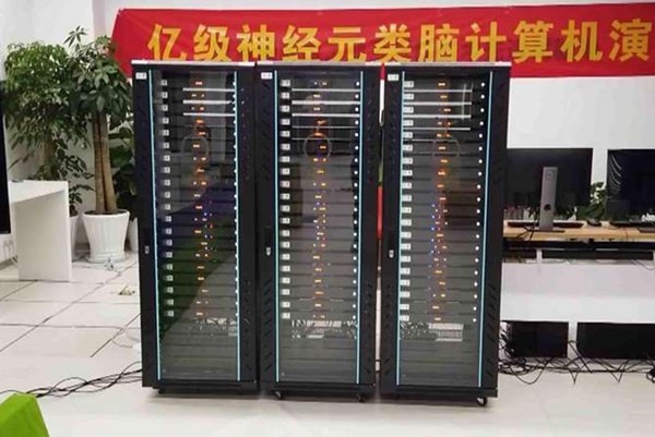 Được biết, con chip được sử dụng trong máy tính Darwin Mouse được gọi là Darwin 2 Neural Processing Unit (NPU). Mỗi con chip có khả năng xử lý dữ liệu tương đương 150.000 tế bào thần kinh nhân tạo. Để có thể đạt khả năng xử lý tương đương với não chuột, các nhà khoa học Trung Quốc phải tích hợp tới hàng trăm con chip Darwin 2 Neural Processing Unit.